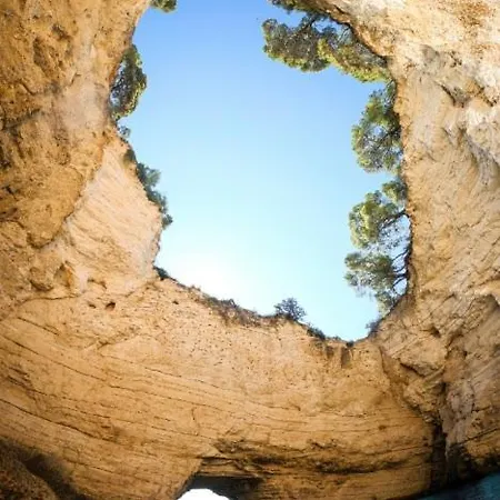 Orchidea Blu Hotel San Menaio