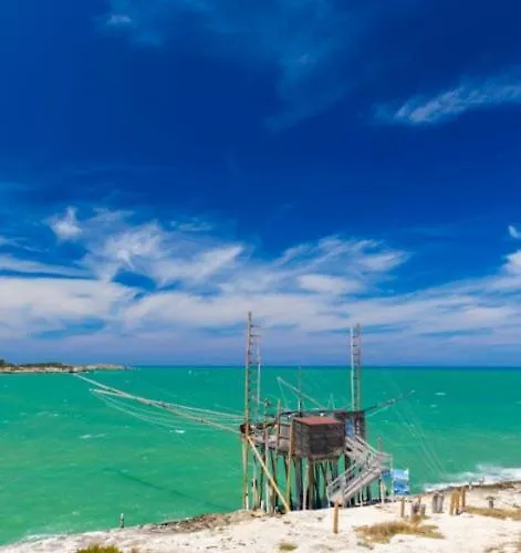 Orchidea Blu 4* San Menaio